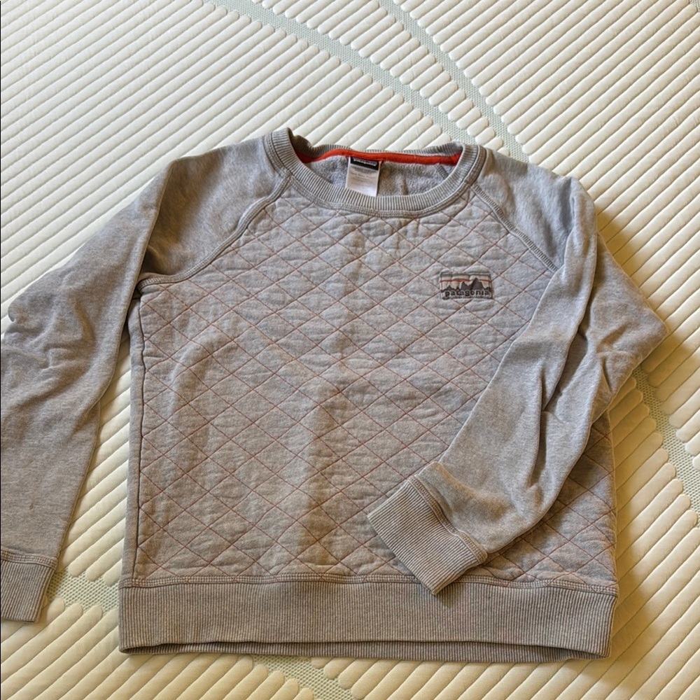 Rare! Patagonia Heritage sweatshirt